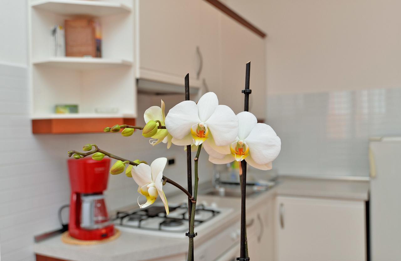 Apartment Ljiljana 1553 Novigrad Istria 외부 사진
